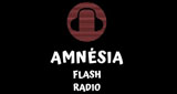 Amnesia-Flash-Radio