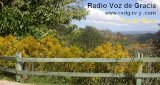 Radio-Voz-de-Gracia---Puerto-Rico