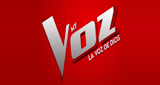My-Voz