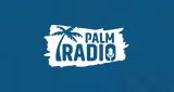 Palm-Radio