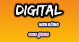 Digital-Stereo-Web