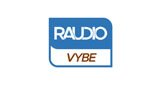 Raudio VYBE