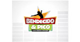 Bendecido-y-Pico