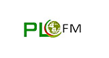 PLFM-Radio