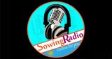Sowing-Radio