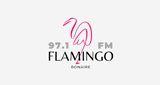 Radio-Flamingo-97.1Fm-bonaire