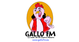 Gallo-FM