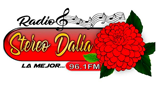 Radio-Stereo-Dalia-96.1-Fm