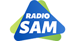 Radio-SAM