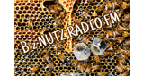 B_z-NUTZ-RADIO-FM