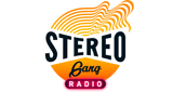 Stereo-Gang-Radio