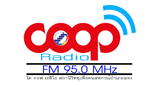 Coop-Radio-Long-95