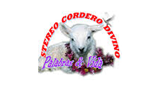 Stereo-Cordero-Divino