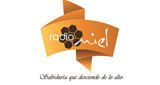 Radio-Miel