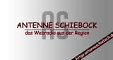 Antenne-Schiebock