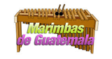 Marimbas-de-Guatemala