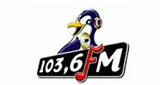 Pinguin-Radio-Bali