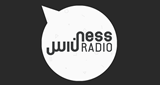 Ness-Radio