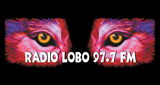 97.7-Radio-Lobo