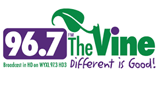 The-Vine