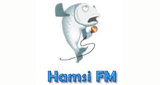 Hamsi-FM