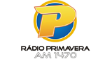 Rádio Primavera, Porto Ferreira