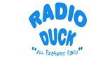 Radio-Duck
