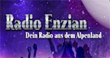 Radio-Enzian