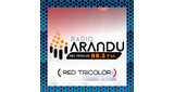 Radio-Arandú