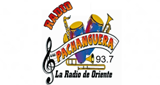 Radio-Pachanguera