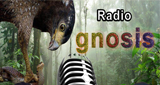 Radio-Gnosis