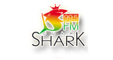 Radio-The-Shark