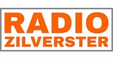 Radio-Zilverster