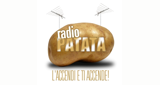 RADIO-Patata