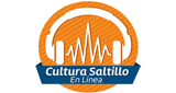 CulturaSaltillo-en-Línea