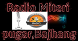 Radio-miteri