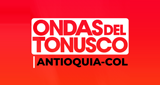 Ondas-del-Tonusco