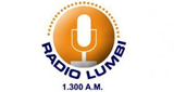Radio-Lumbí