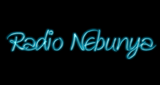Radio-Nebunya