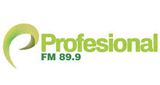 Radio-Profesional