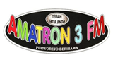 Amatron 3 FM