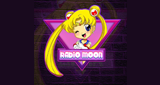 Radio-Moon