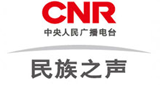 CNR-National-Voice