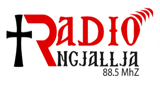 Radio-Ngjallja