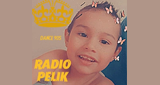 Radio-Pelik