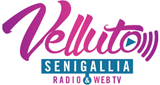 Radio-Velluto