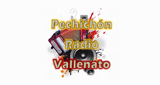 Pechichón-Radio-Vallenato