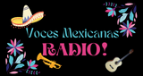 Voces-Mexicanas-Radio