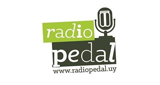 Radio-Pedal