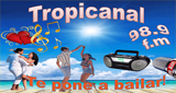 Tropicanal-Tropical